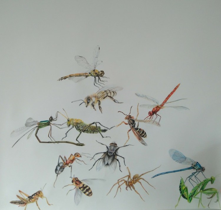 lina vila, todos afanados como insectos procurando una compañía, 2018