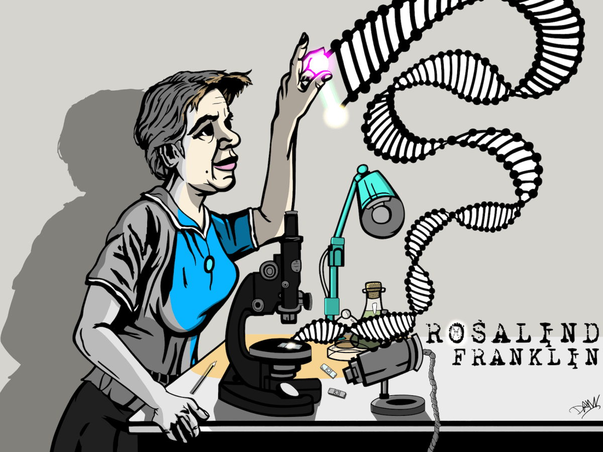 Ilustración Rosalind Franklin